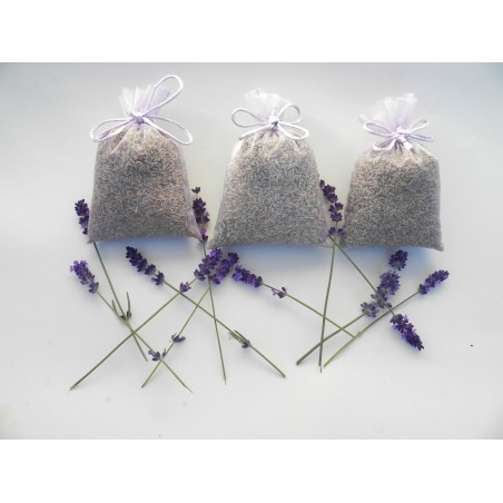 Lavanda essiccata