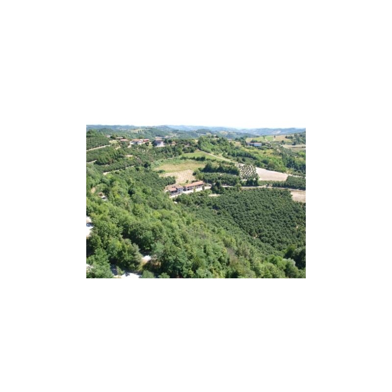 Azienda Agricola Cascina Valcrosa