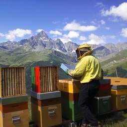 Miele del Monviso - Azienda Agricoal Volavìa